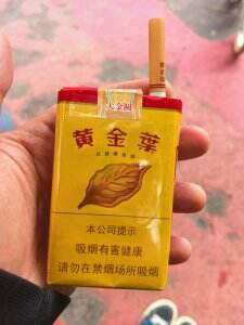 黄金叶(软大金圆)