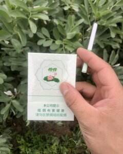 钻石(双中支荷花)