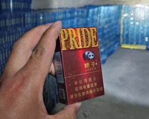 娇子(时代阳光)