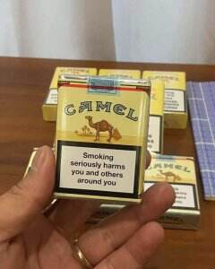 骆驼(无嘴欧盟版)