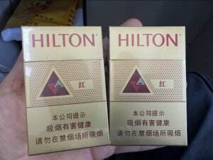 希尔顿(红)